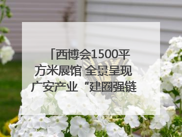 西博会1500平方米展馆 全景呈现广安产业“建圈强链”｜西博视界