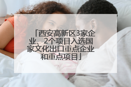 西安高新区3家企业、2个项目入选国家文化出口重点企业和重点项目