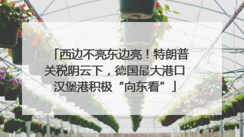 西边不亮东边亮！特朗普关税阴云下，德国最大港口汉堡港积极“向东看”