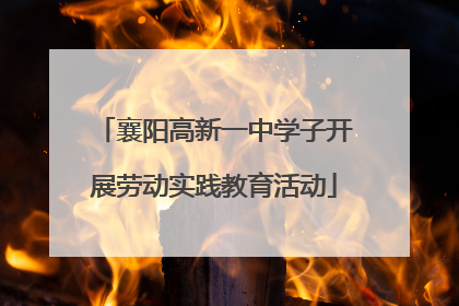 襄阳高新一中学子开展劳动实践教育活动