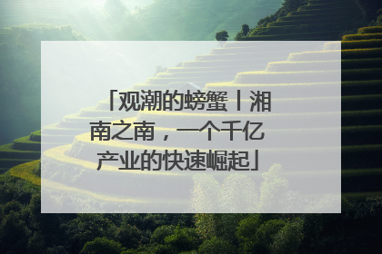 观潮的螃蟹丨湘南之南，一个千亿产业的快速崛起