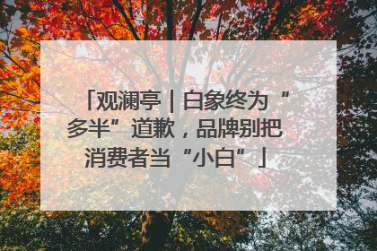 观澜亭｜白象终为“多半”道歉，品牌别把消费者当“小白”