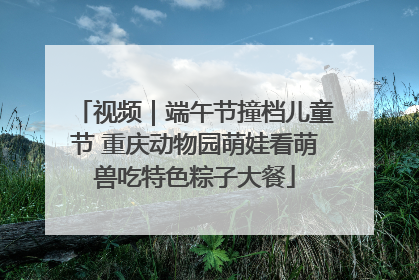 视频｜端午节撞档儿童节 重庆动物园萌娃看萌兽吃特色粽子大餐