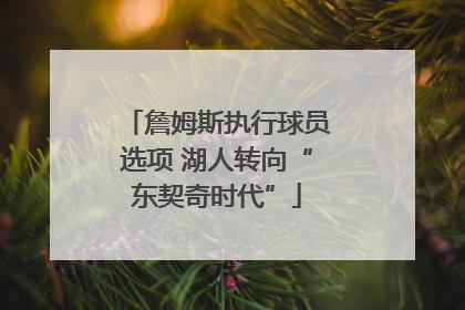 詹姆斯执行球员选项 湖人转向“东契奇时代”