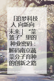 追梦科技人 向新向未来｜“菜篮子”里的种业密码：解码南京蔬菜分子育种的创新之路