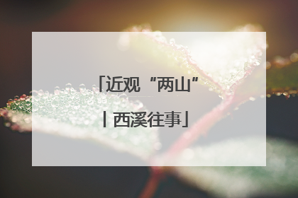 近观“两山”丨西溪往事