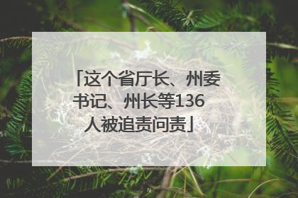 这个省厅长、州委书记、州长等136人被追责问责