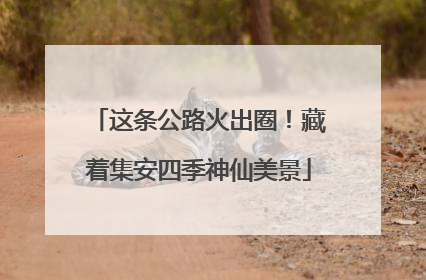 这条公路火出圈！藏着集安四季神仙美景