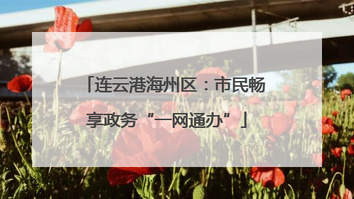 连云港海州区：市民畅享政务“一网通办”