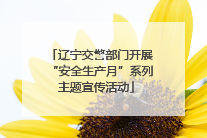辽宁交警部门开展“安全生产月”系列主题宣传活动