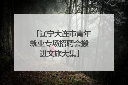 辽宁大连市青年就业专场招聘会搬进文旅大集