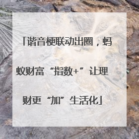 谐音梗联动出圈，蚂蚁财富“指数+”让理财更“加”生活化