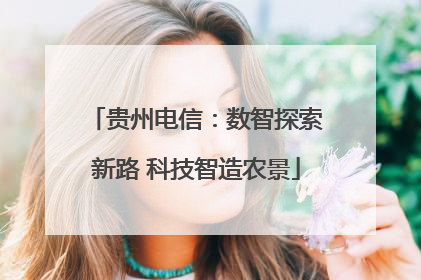 贵州电信：数智探索新路 科技智造农景