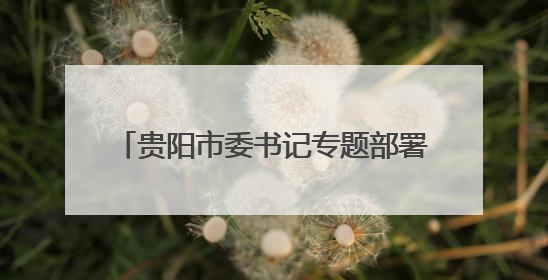 贵阳市委书记专题部署DeepSeek应用