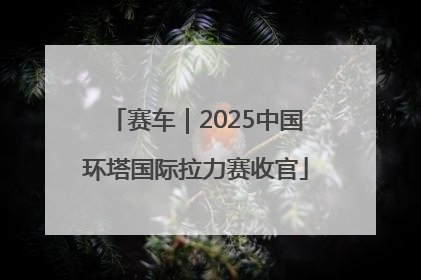 赛车｜2025中国环塔国际拉力赛收官