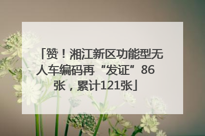 赞！湘江新区功能型无人车编码再“发证”86张，累计121张