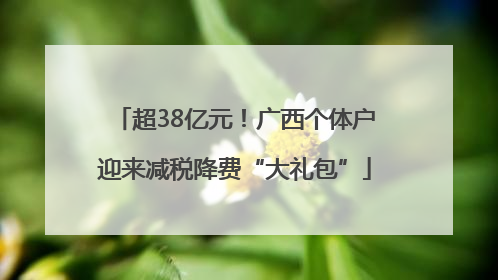 超38亿元！广西个体户迎来减税降费“大礼包”