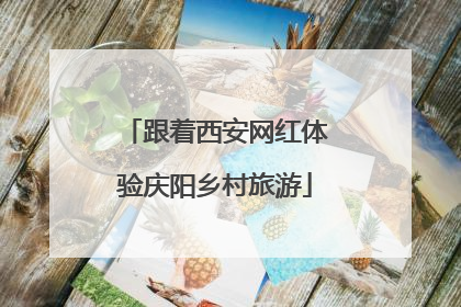 跟着西安网红体验庆阳乡村旅游