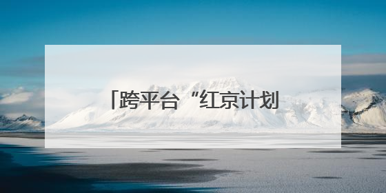 跨平台“红京计划”发布：加速实现从内容种草到交易转化丨变革618