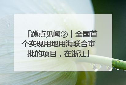 蹲点见闻②｜全国首个实现用地用海联合审批的项目，在浙江