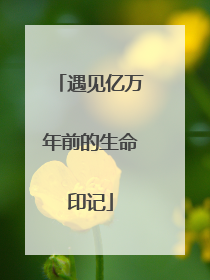 遇见亿万年前的生命印记