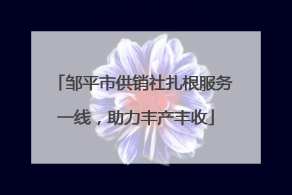 邹平市供销社扎根服务一线，助力丰产丰收