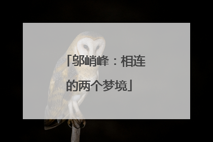 邬峭峰：相连的两个梦境