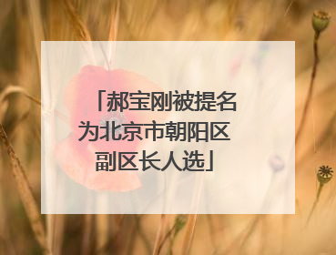 郝宝刚被提名为北京市朝阳区副区长人选