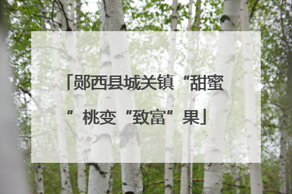 郧西县城关镇“甜蜜”桃变“致富”果