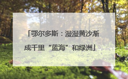 鄂尔多斯：漫漫黄沙渐成千里“蓝海”和绿洲