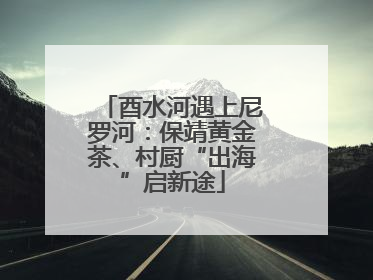 酉水河遇上尼罗河：保靖黄金茶、村厨“出海”启新途