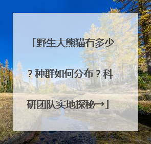 野生大熊猫有多少？种群如何分布？科研团队实地探秘→