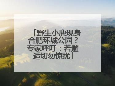 野生小麂现身合肥环城公园？专家呼吁：若邂逅切勿惊扰