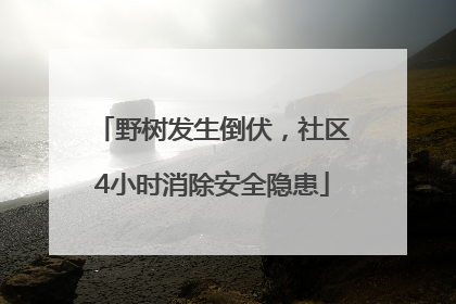 野树发生倒伏，社区4小时消除安全隐患