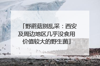野蘑菇别乱采：西安及周边地区几乎没食用价值较大的野生菌