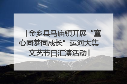 金乡县马庙镇开展“童心同梦同成长”运河大集文艺节目汇演活动