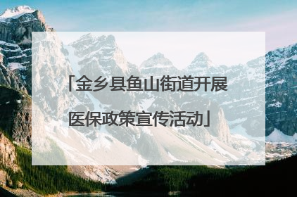 金乡县鱼山街道开展医保政策宣传活动