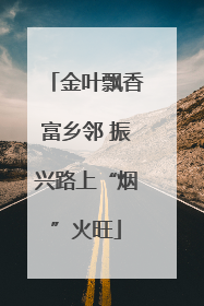 金叶飘香富乡邻 振兴路上“烟”火旺