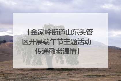 金家岭街道山东头管区开展端午节主题活动 传递敬老温情