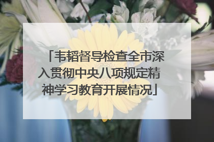 韦韬督导检查全市深入贯彻中央八项规定精神学习教育开展情况
