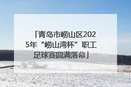 青岛市崂山区2025年“崂山湾杯”职工足球赛圆满落幕
