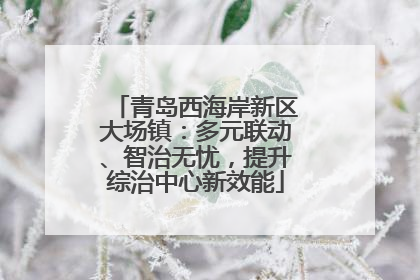 青岛西海岸新区大场镇：多元联动、智治无忧，提升综治中心新效能