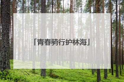 青春骑行护林海