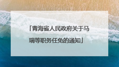 青海省人民政府关于马瑞等职务任免的通知
