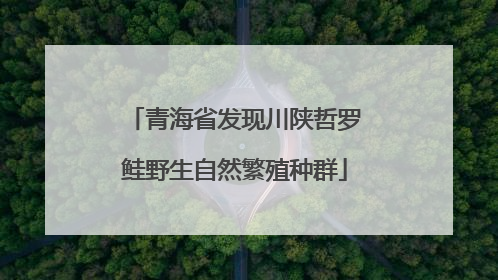 青海省发现川陕哲罗鲑野生自然繁殖种群