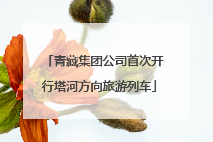 青藏集团公司首次开行塔河方向旅游列车