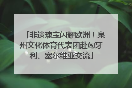 非遗瑰宝闪耀欧洲！泉州文化体育代表团赴匈牙利、塞尔维亚交流