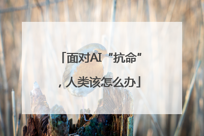 面对AI“抗命”，人类该怎么办