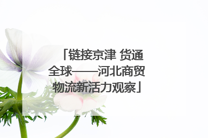 链接京津 货通全球——河北商贸物流新活力观察