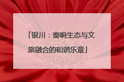 银川：奏响生态与文旅融合的和谐乐章